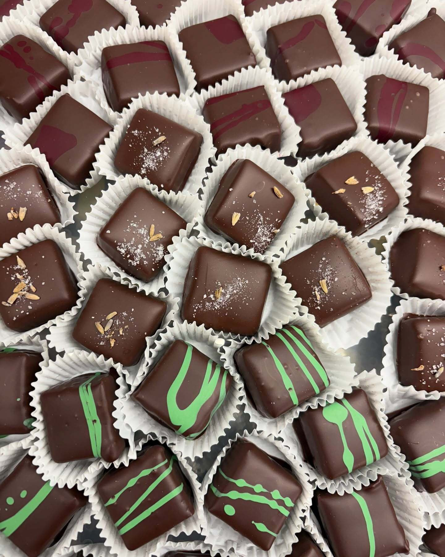 471447539 1093718072532785 5457272812945536444 N (1)