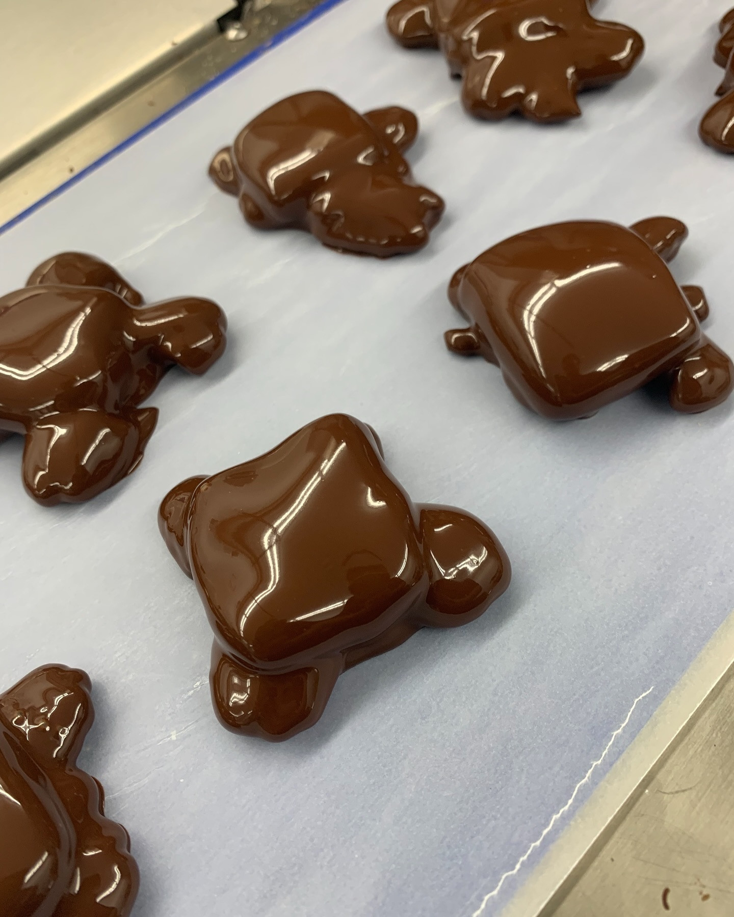 472098850 582759058055847 9016662959089774572 N