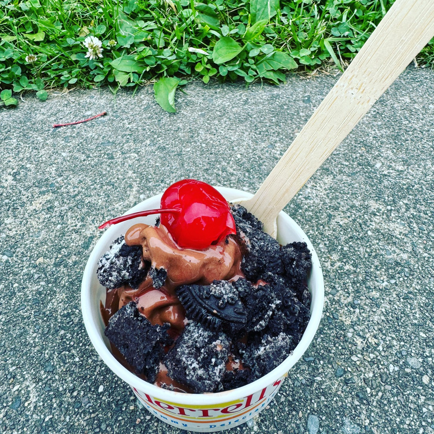 497927134 18138041065392970 3944132298332556995 N