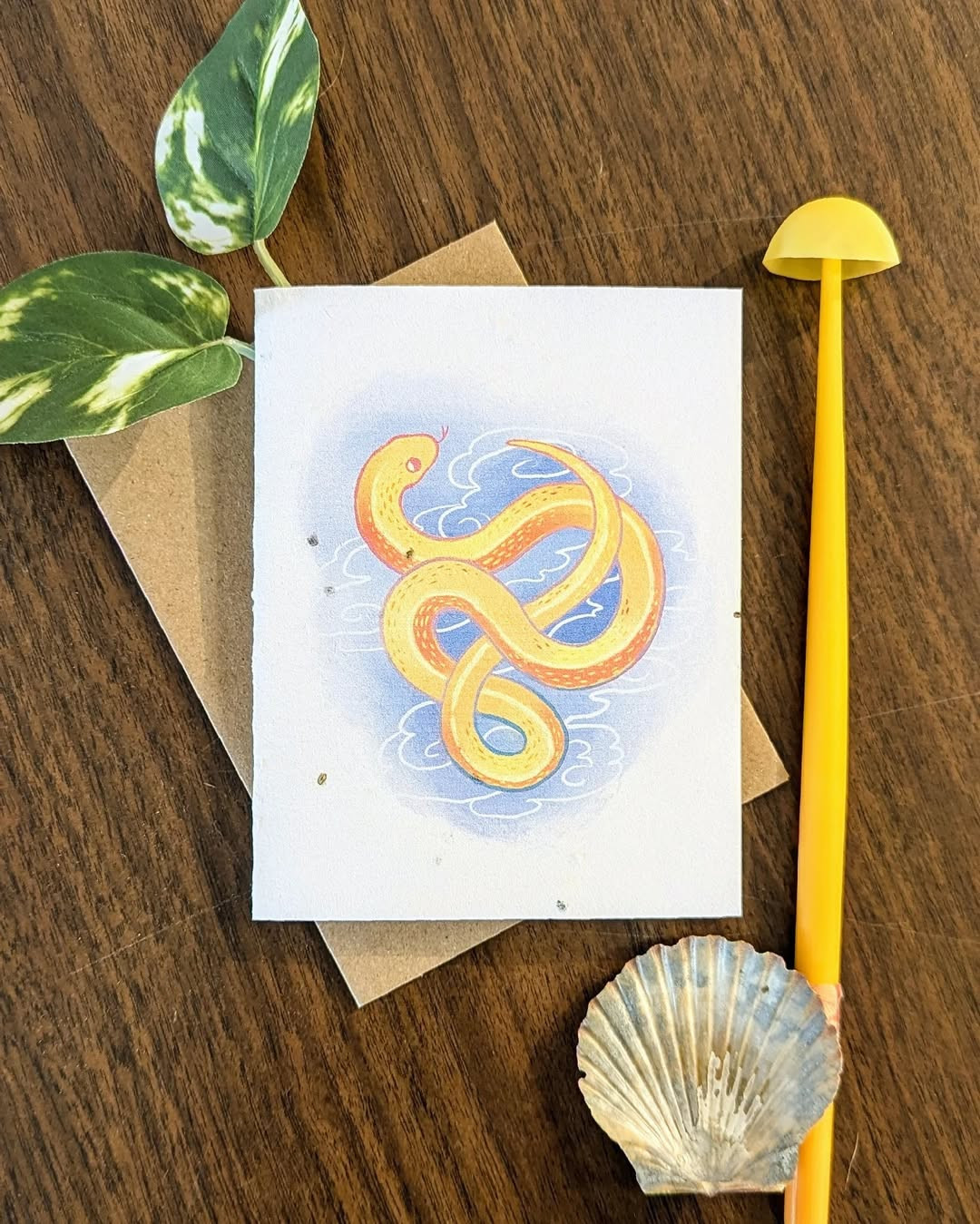 480466985 503453629467482 7671181826207825691 N