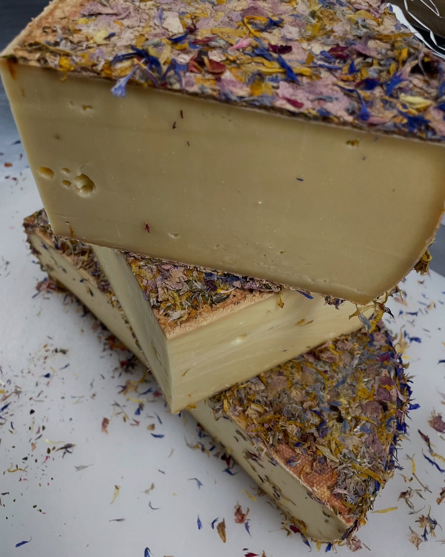 490540628 18499237090016820 5268047810629999189 N