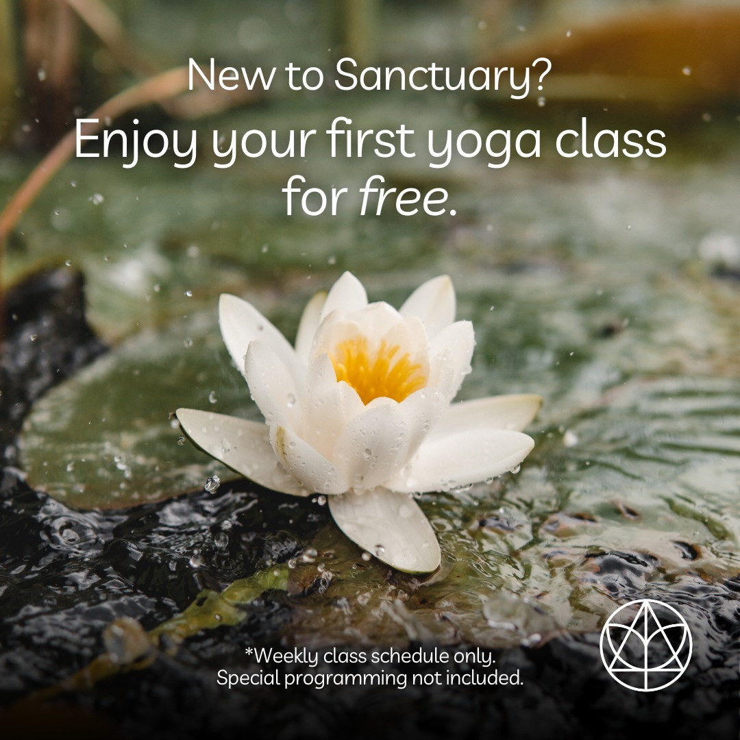 449529409 977054721095447 7098398991068962137 N