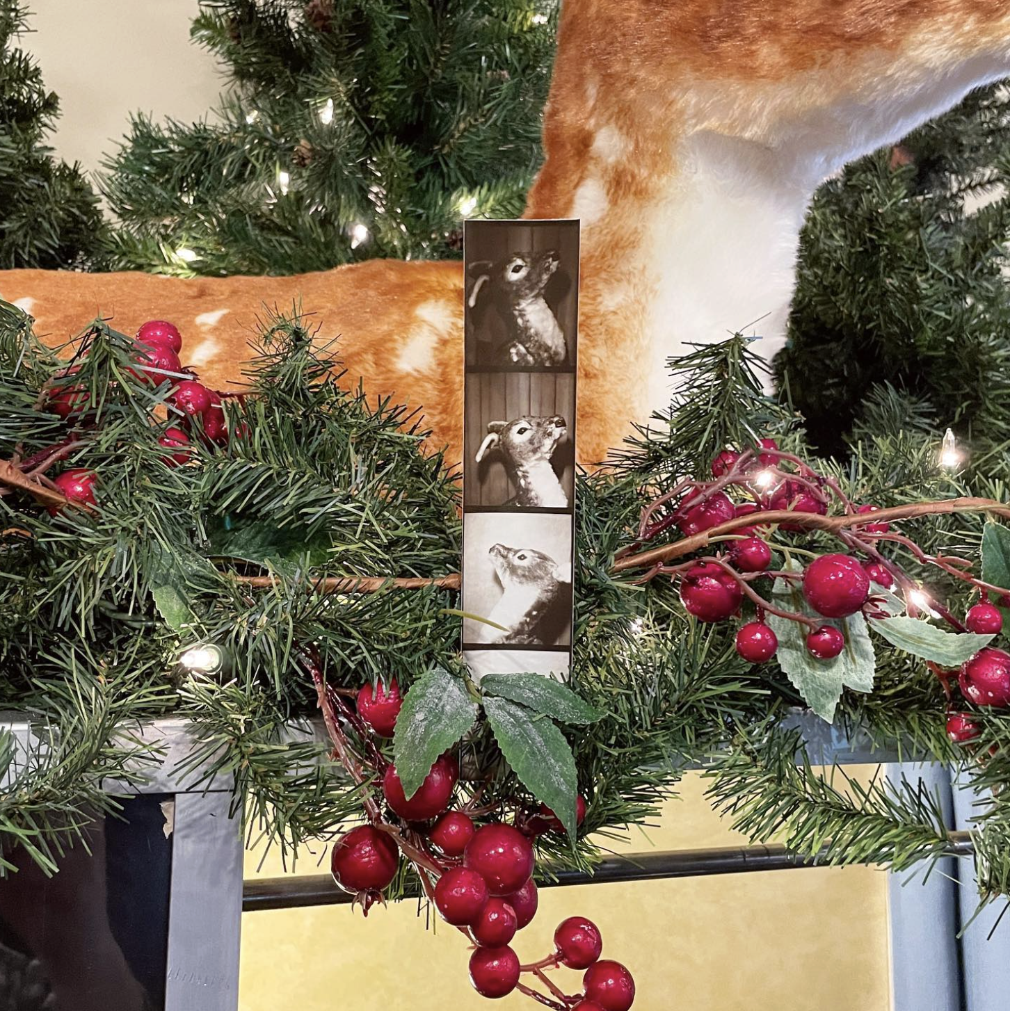 Screenshot 2025 09 15 At 12.51.42 PM