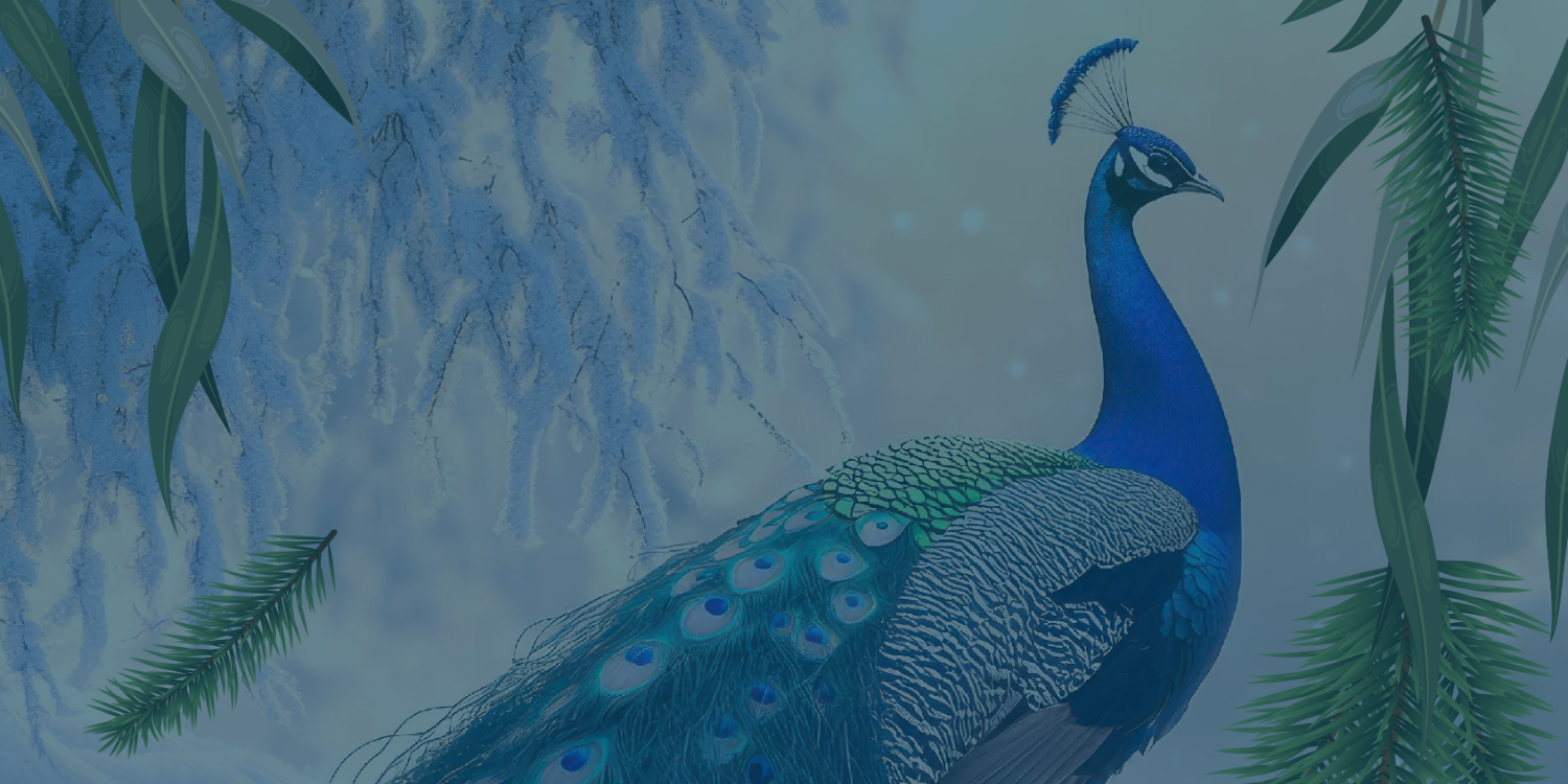 Thornes Email%20Banner%20%289%29%20%281%29