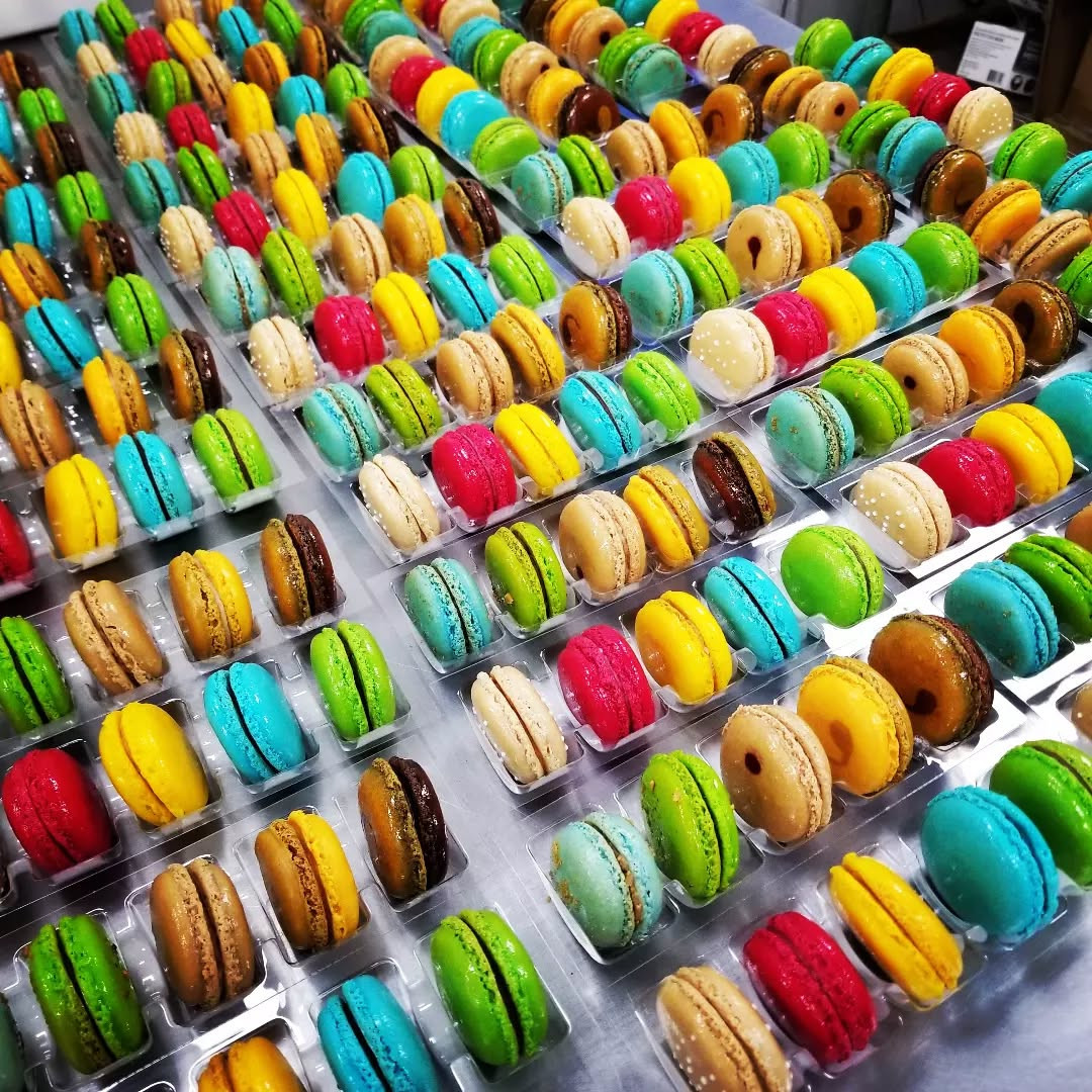 319067647 705125907675534 4624154881924420411 N