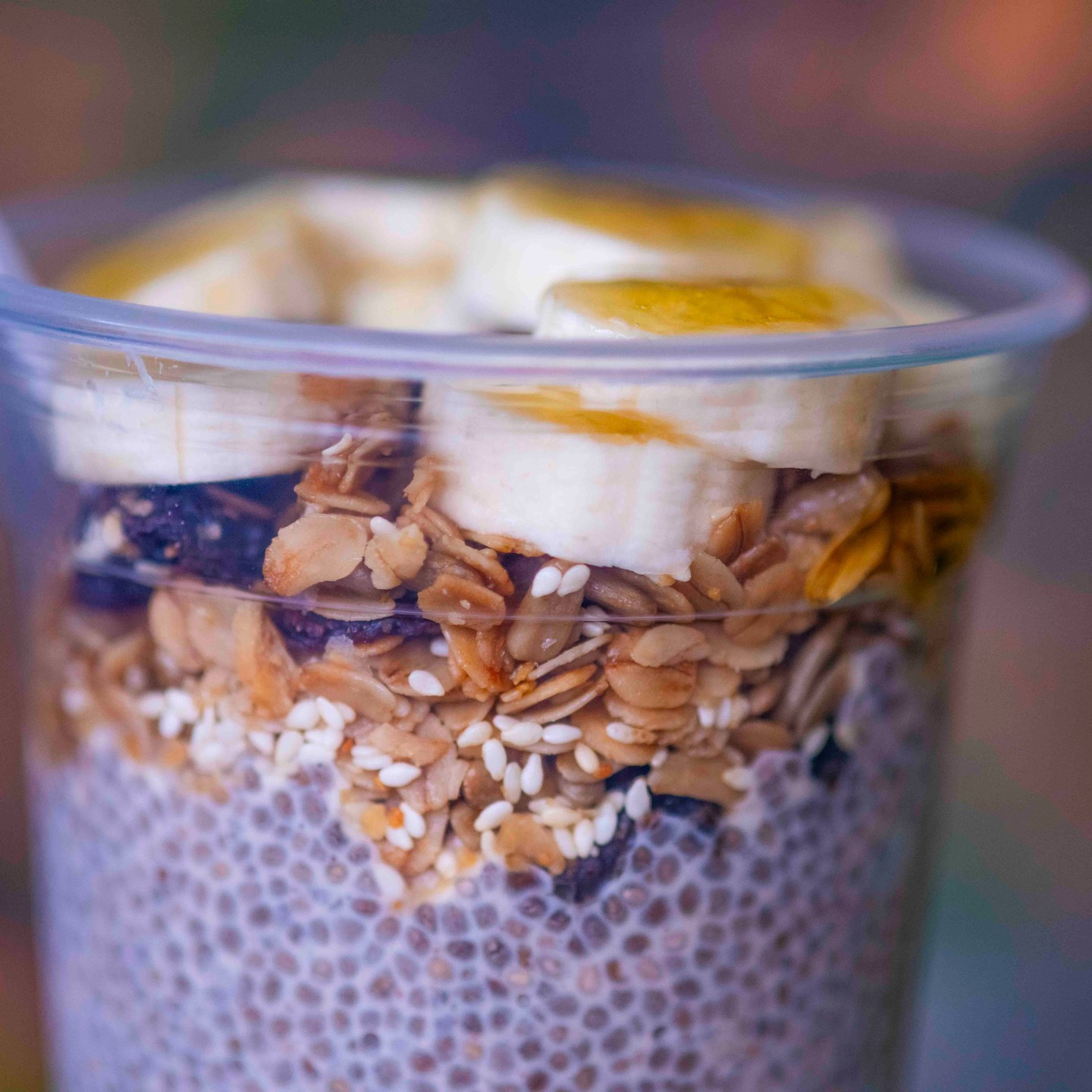 494550011 1252862060179198 7077500116792415921 N