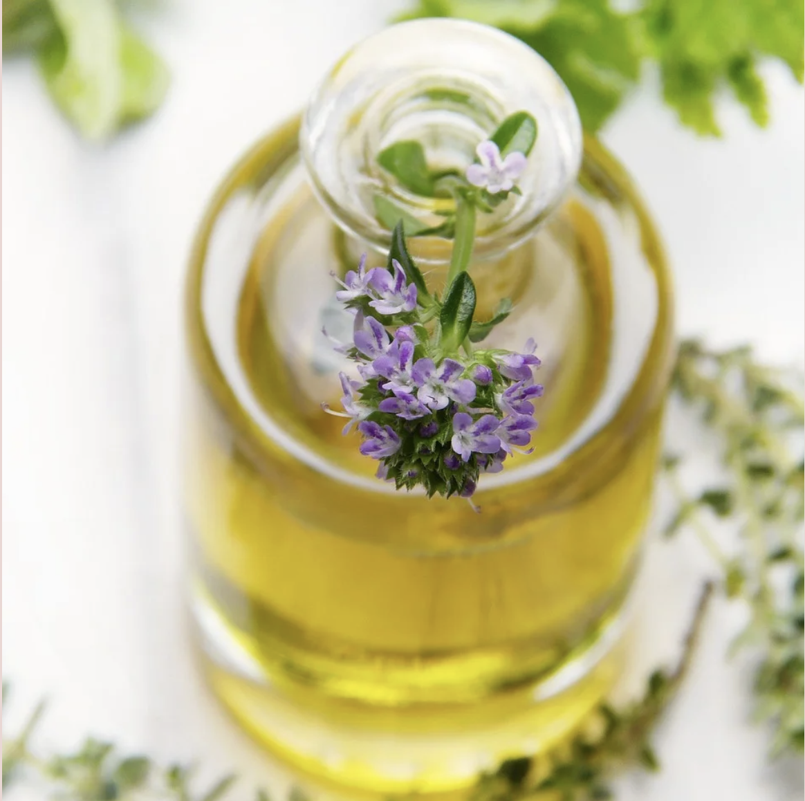 Screenshot 2026 02 11 At 11.33.34 AM